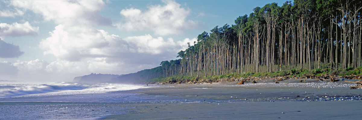 Bruce Bay Tony Fergusson Photography Panorama
