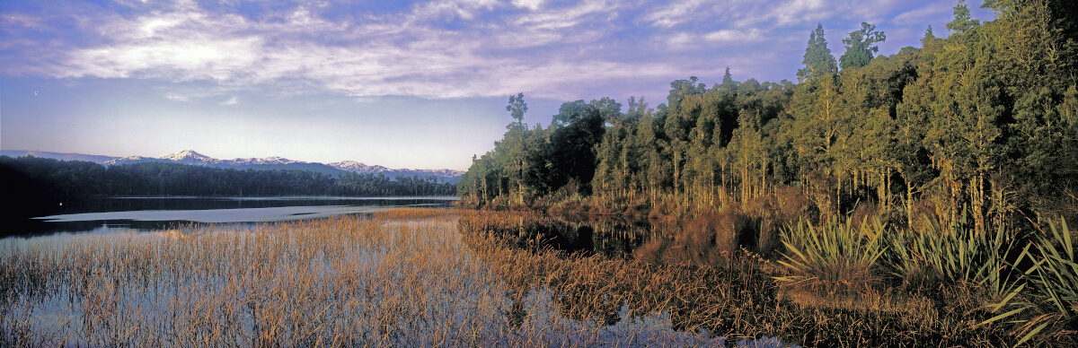 Lake Mahinapua Tony Fergusson Photography Panorama