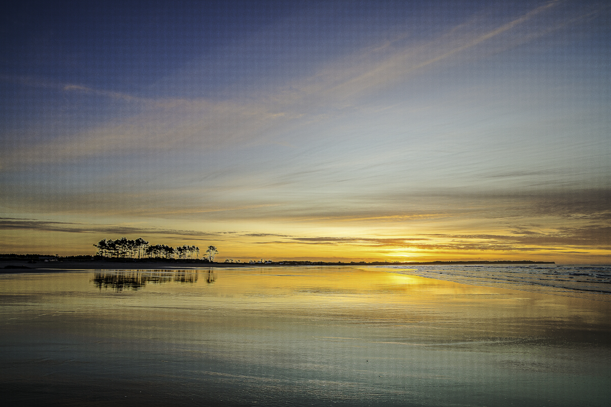 Carters Beach Tony Fergusson Photography Rectangle