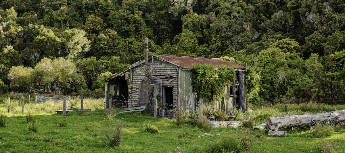 Old Hut Seddonville Tony Fergusson Photography Rectangle