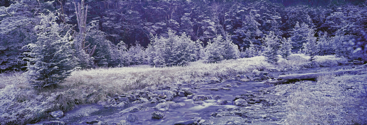 Winter Frost Glenorchy Tony Fergusson Photography Panorama