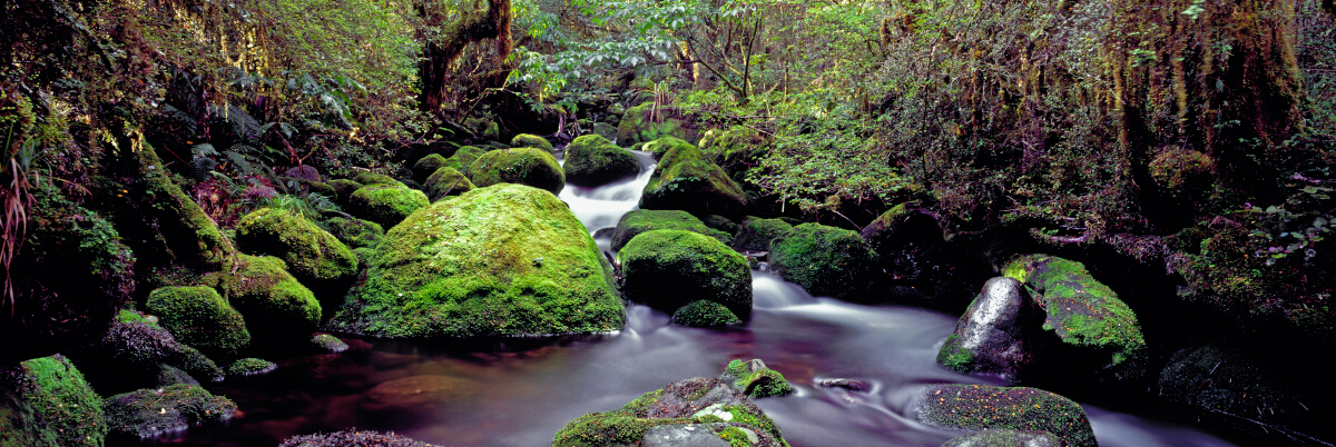 Lake Stream Tony Fergusson Photography Panorama