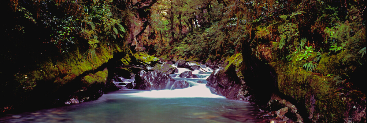Hidden Stream Tony Fergusson Photography Panorama