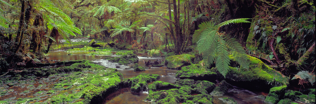 Doughtful Stream Collection Tony Fergusson Photography Limited Edition