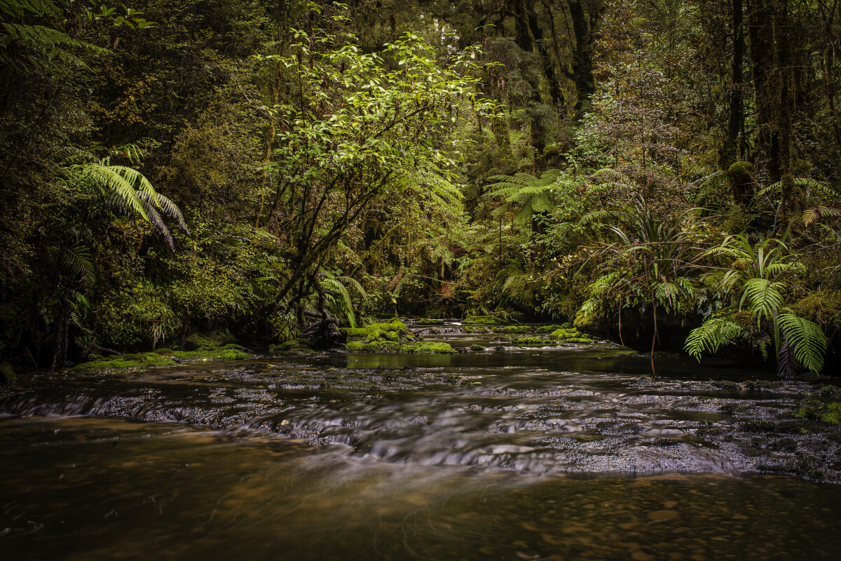 Doughtfull Stream 1 Tony Fergusson Photography Rectangle