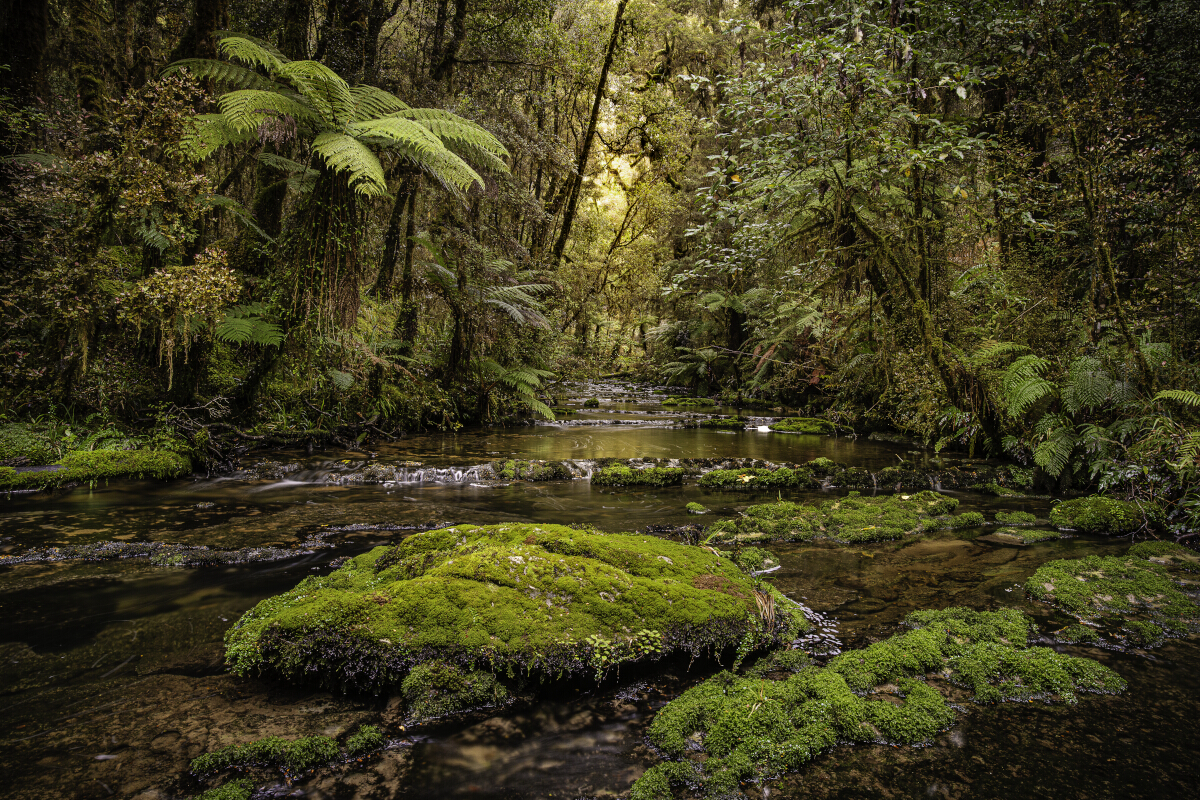 Doughtfull Stream 2 Tony Fergusson Photography Rectangle