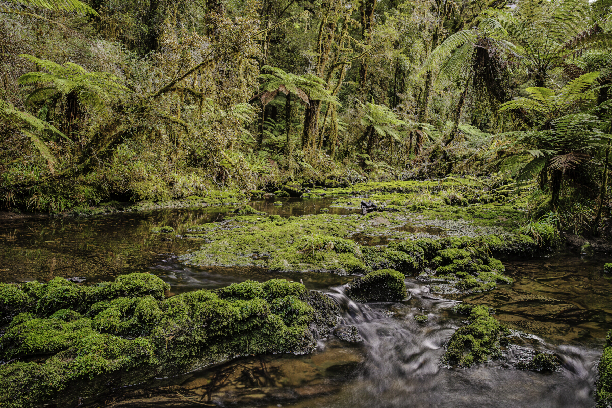 Doughtfull Stream 3 Tony Fergusson Photography Rectangle