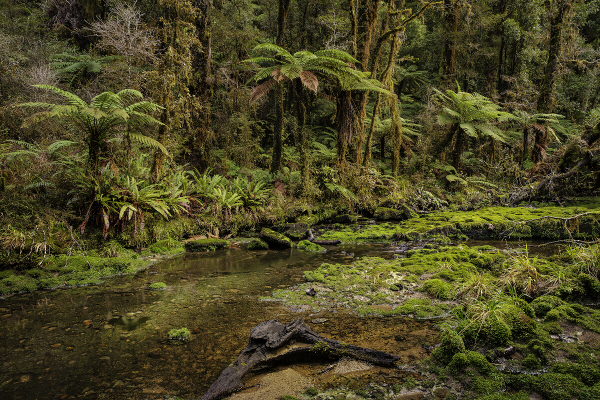 Doughtfull Stream 4 Tony Fergusson Photography Rectangle