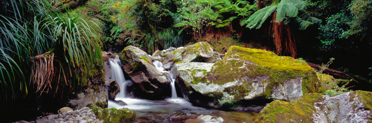 Buller Gorge Stream Tony Fergusson Photography Panorama