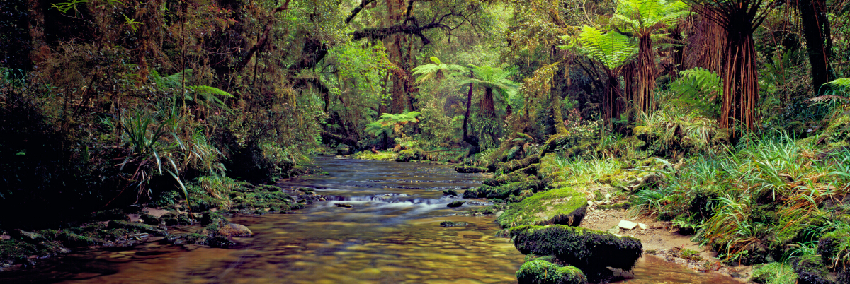 Waterfall Stream Tony Fergusson Photography Panorama