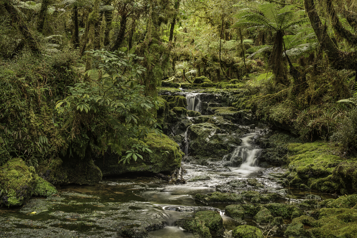 Makirikiri Stream Tony Fergusson Photography Rectangle