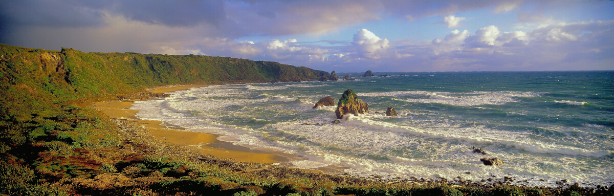 Penguin Bay Collection Tony Fergusson Photography Limited Edition
