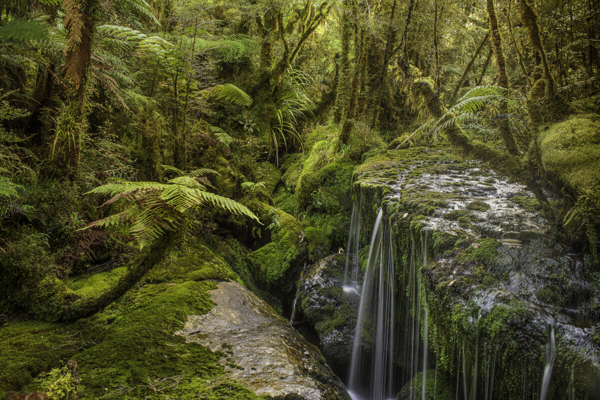 Makirikiri Stream Tony Fergusson Photography Rectangle