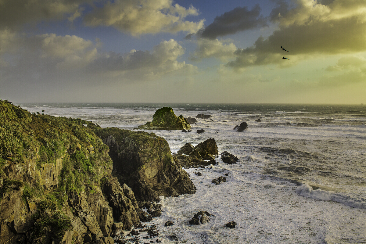 Cape Cliffs Seagulls Tony Fergusson Photography Rectangle
