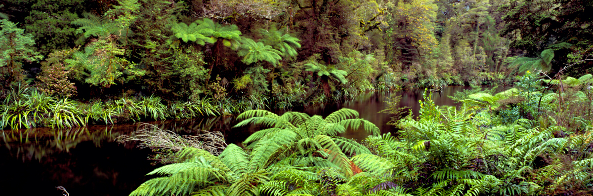 Lake Ellery Stream Tony Fergusson Photography Panorama