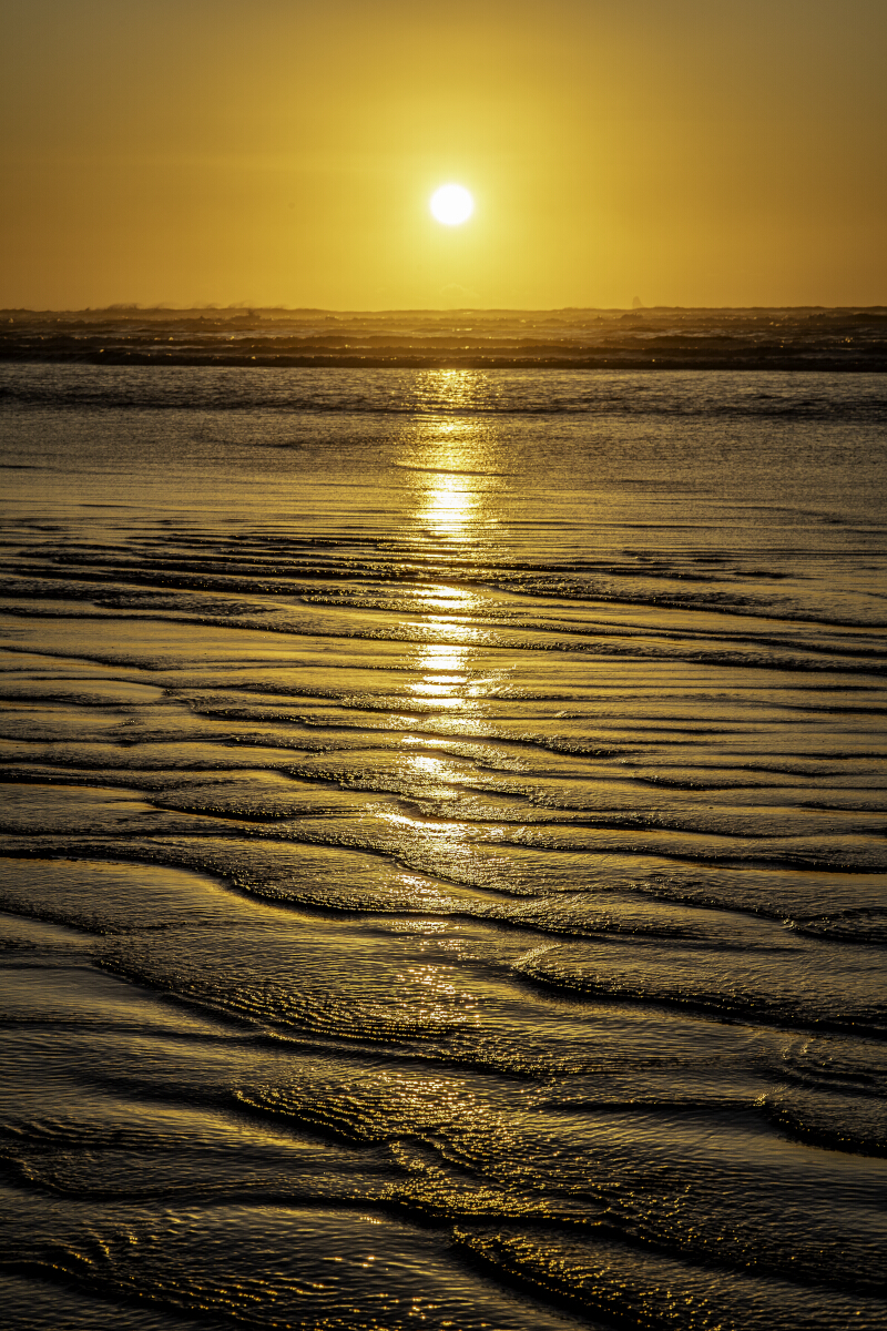 Carters Beach Sun Glow Tony Fergusson Photography Rectangle