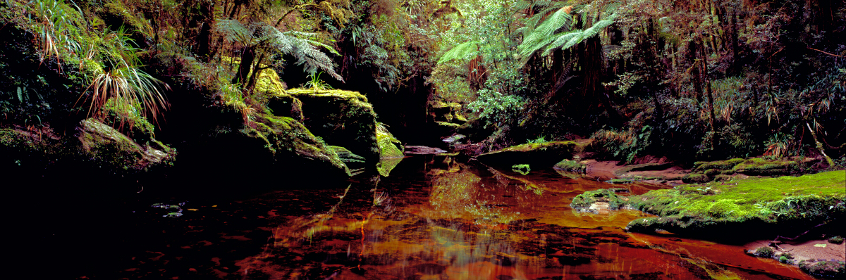 Makirikiri Stream Tony Fergusson Photography Panorama