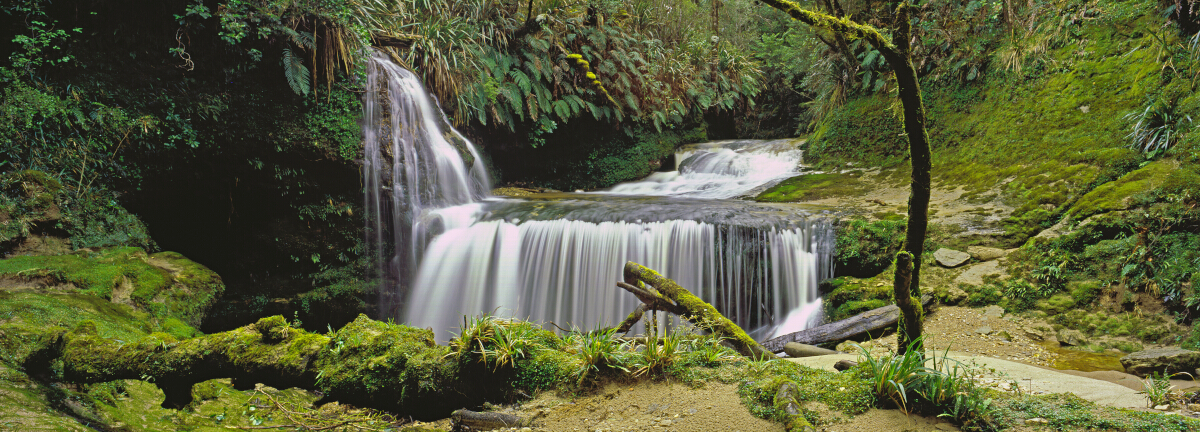 Paparoa Stream Tony Fergusson Photography Panorama