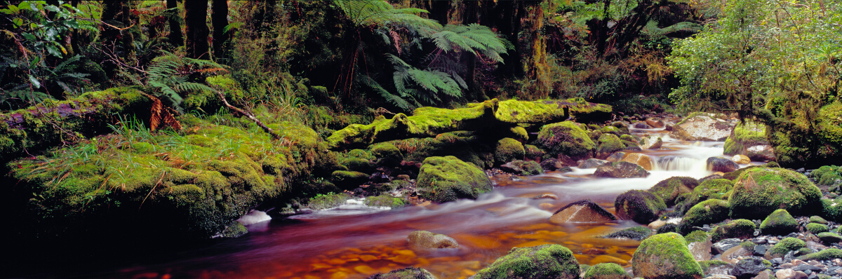 Gorge Stream Tony Fergusson Photography Panorama