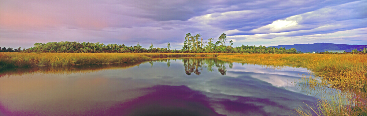Martins Estuary Tony Fergusson Photography Panorama