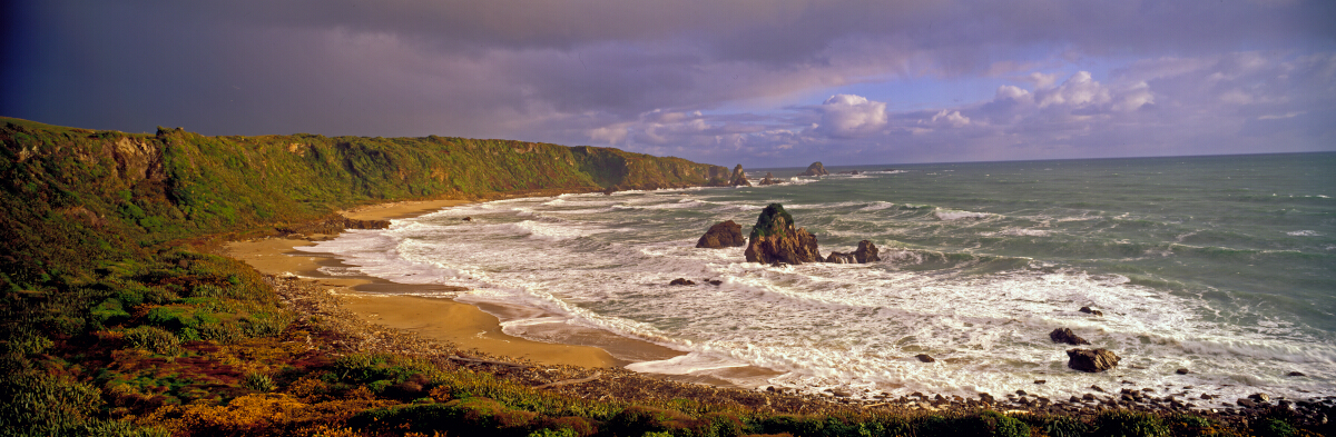 Penguin Bay Tony Fergusson Photography Panorama