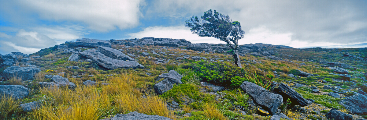 Mt William Tony Fergusson Photography Panorama