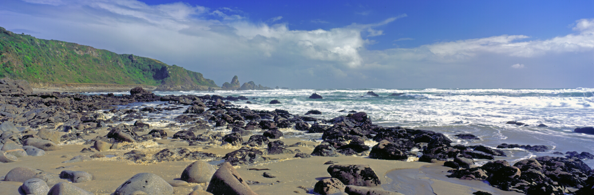 Low Tide Penguin Bay Tony Fergusson Photography Panorama
