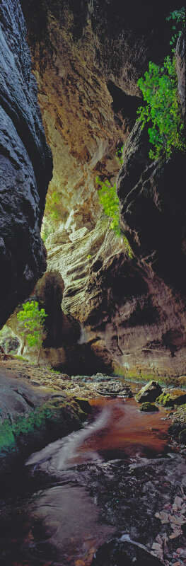 Makiririri Arch Tony Fergusson Photography Vertical