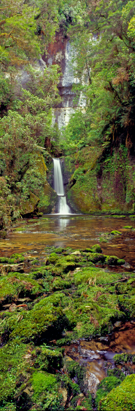Waterfall Stream Tony Fergusson Photography Vertical