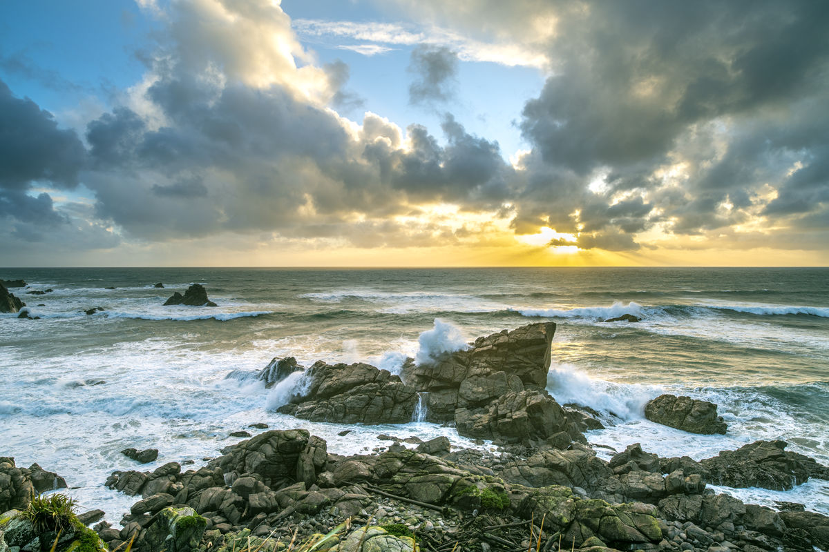 Seal Colony Tony Fergusson Photography Rectangle