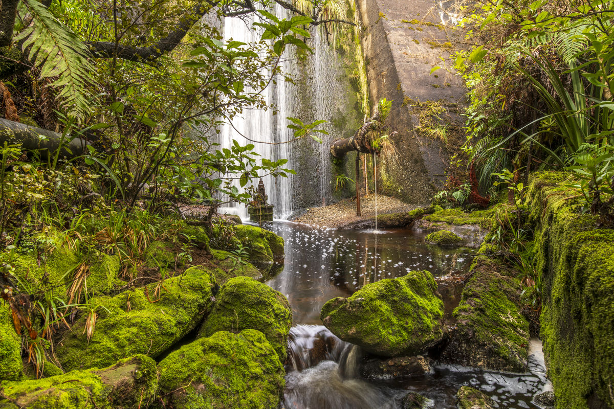 Fairyland Tony Fergusson Photography Rectangle