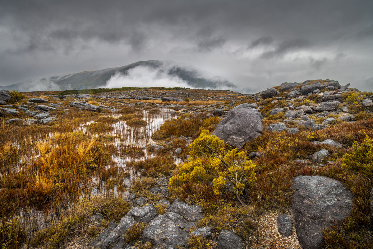 Denniston Plateau Tony Fergusson Photography Rectangle