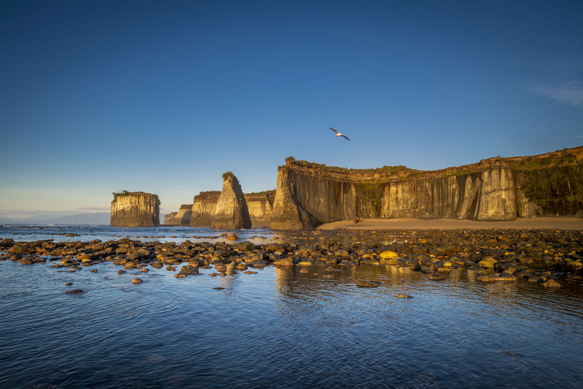 Cape Cliffs and Seagull Tony Fergusson Photography Rectangle